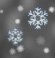 Night time, Snow fall